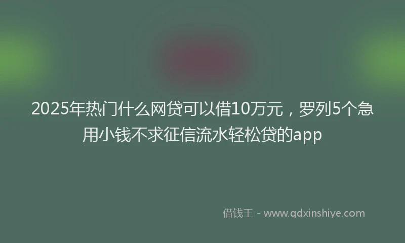 2025年热门什么网贷可以借10万元，罗列5个急用小钱不求征信流水轻松贷的app
