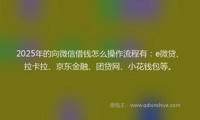2025年的向微信借钱怎么操作流程有：e微贷、拉卡拉、京东金融、团贷网、小花钱包等。