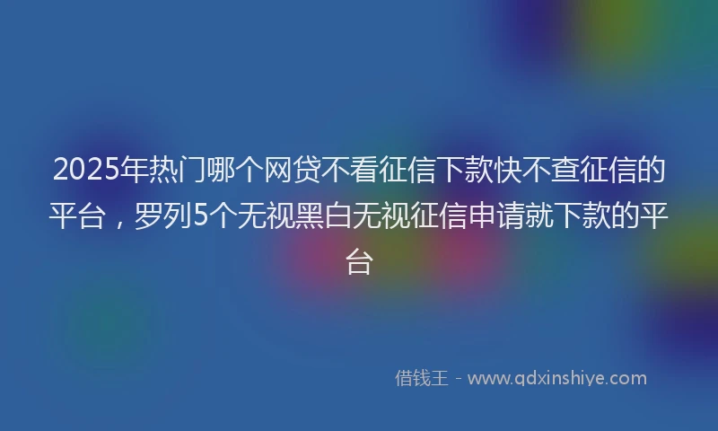 2025年热门哪个网贷不看征信下款快不查征信的平台，罗列5个无视黑白无视征信申请就下款的平台