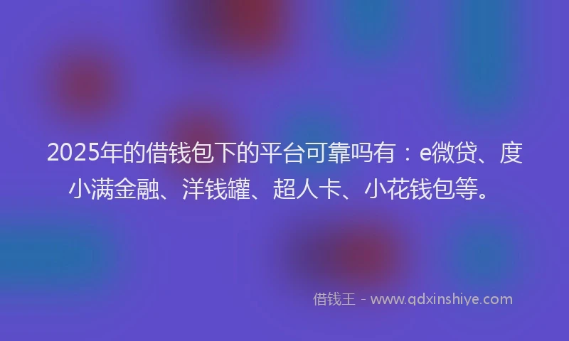 2025年的借钱包下的平台可靠吗有：e微贷、度小满金融、洋钱罐、超人卡、小花钱包等。