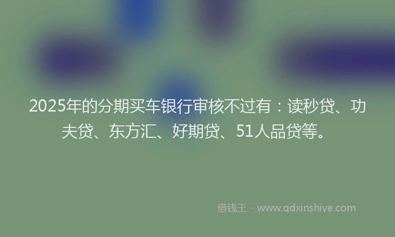 2025年的分期买车银行审核不过有：读秒贷、功夫贷、东方汇、好期贷、51人品贷等。