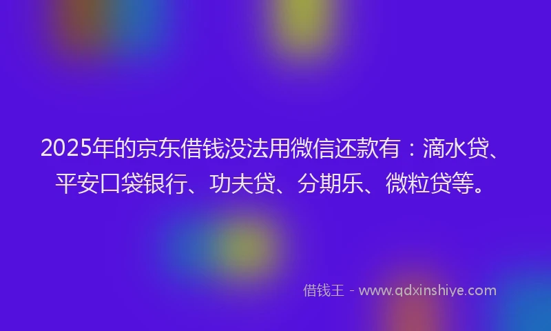 2025年的京东借钱没法用微信还款有：滴水贷、平安口袋银行、功夫贷、分期乐、微粒贷等。