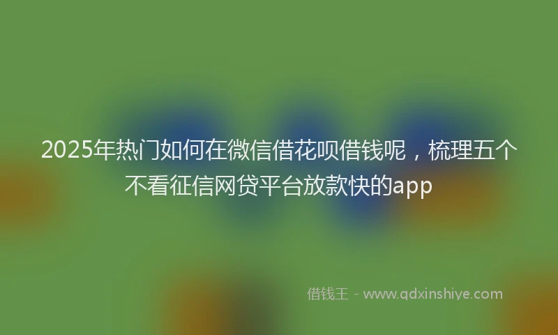 2025年热门如何在微信借花呗借钱呢，梳理五个不看征信网贷平台放款快的app