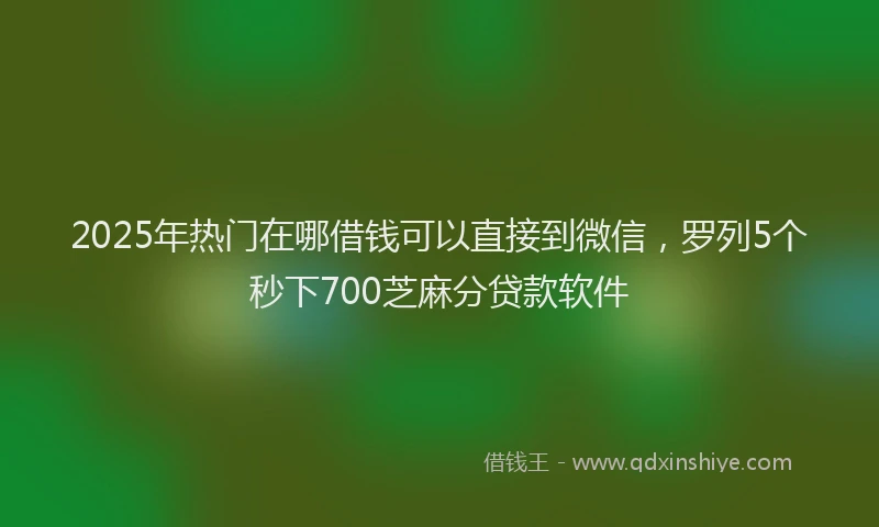 2025年热门在哪借钱可以直接到微信，罗列5个秒下700芝麻分贷款软件