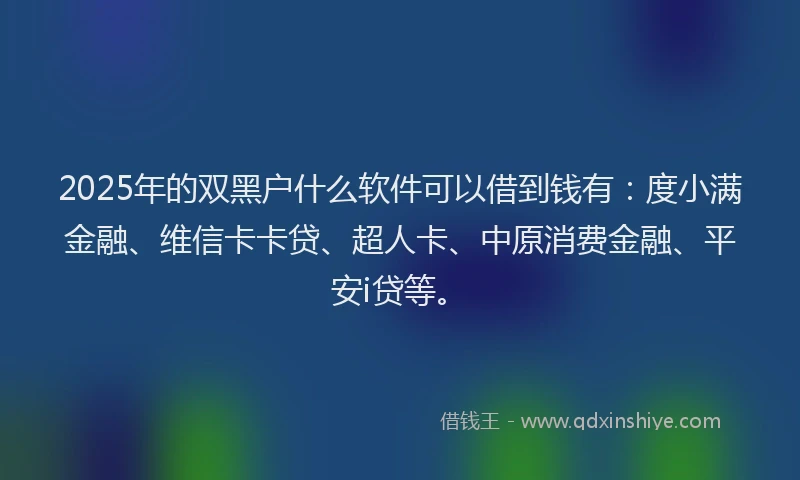 2025年的双黑户什么软件可以借到钱有：度小满金融、维信卡卡贷、超人卡、中原消费金融、平安i贷等。