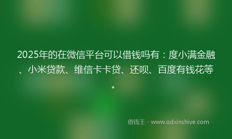 2025年的在微信平台可以借钱吗有：度小满金融、小米贷款、维信卡卡贷、还呗、百度有钱花等。