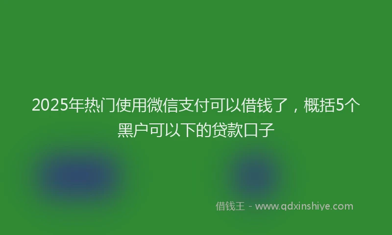 2025年热门使用微信支付可以借钱了，概括5个黑户可以下的贷款口子