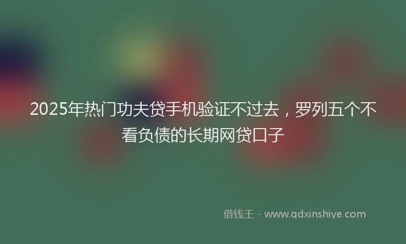 2025年热门功夫贷手机验证不过去，罗列五个不看负债的长期网贷口子