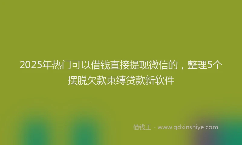 2025年热门可以借钱直接提现微信的，整理5个摆脱欠款束缚贷款新软件