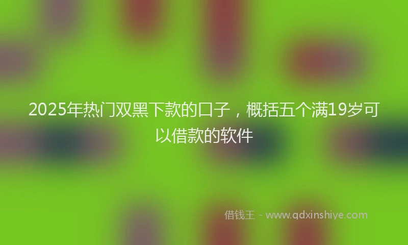 2025年热门双黑下款的口子，概括五个满19岁可以借款的软件