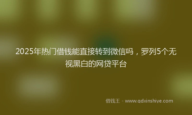 2025年热门借钱能直接转到微信吗，罗列5个无视黑白的网贷平台