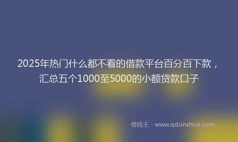 2025年热门什么都不看的借款平台百分百下款，汇总五个1000至5000的小额贷款口子