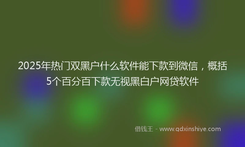 2025年热门双黑户什么软件能下款到微信，概括5个百分百下款无视黑白户网贷软件