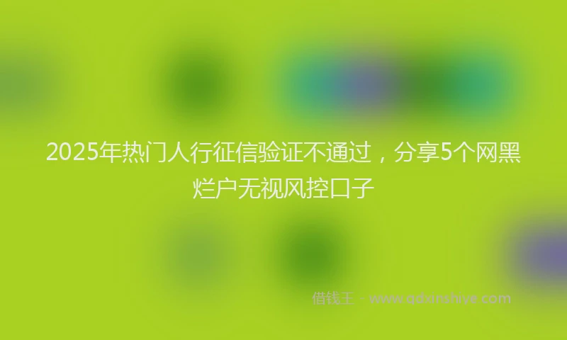 2025年热门人行征信验证不通过，分享5个网黑烂户无视风控口子