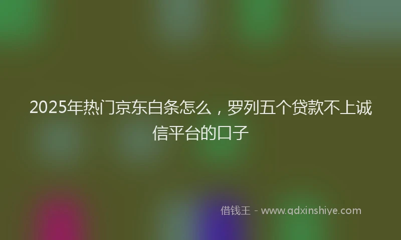 2025年热门京东白条怎么，罗列五个贷款不上诚信平台的口子