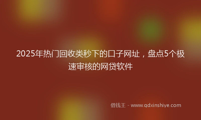 2025年热门回收类秒下的口子网址，盘点5个极速审核的网贷软件