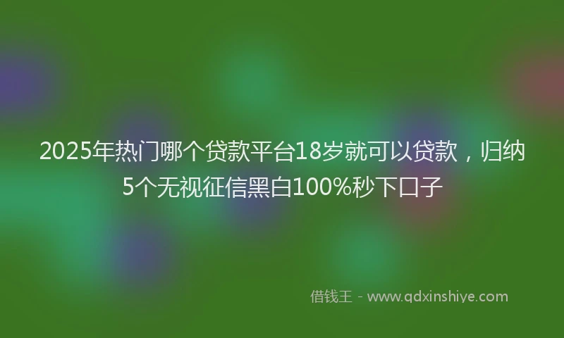 2025年热门哪个贷款平台18岁就可以贷款，归纳5个无视征信黑白100%秒下口子