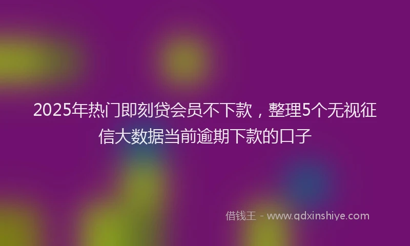 2025年热门即刻贷会员不下款，整理5个无视征信大数据当前逾期下款的口子