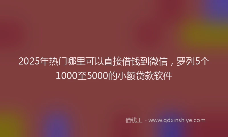 2025年热门哪里可以直接借钱到微信，罗列5个1000至5000的小额贷款软件