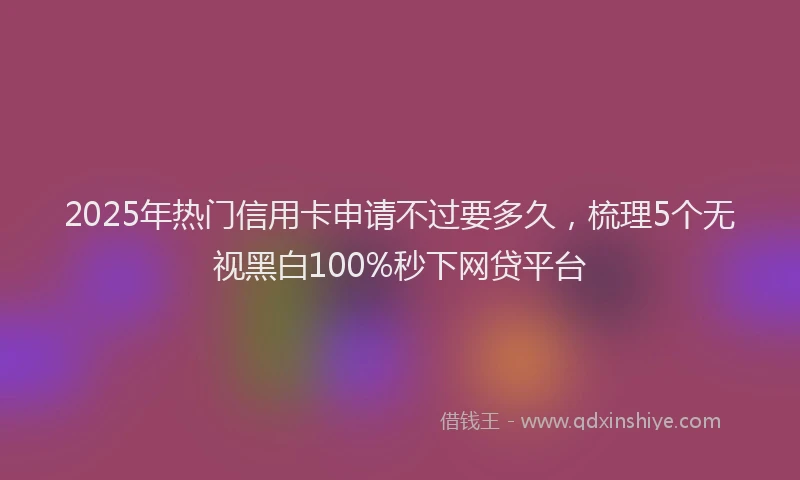 2025年热门信用卡申请不过要多久，梳理5个无视黑白100%秒下网贷平台