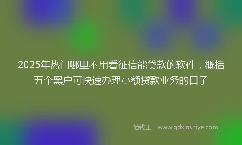 2025年热门哪里不用看征信能贷款的软件，概括五个黑户可快速办理小额贷款业务的口子