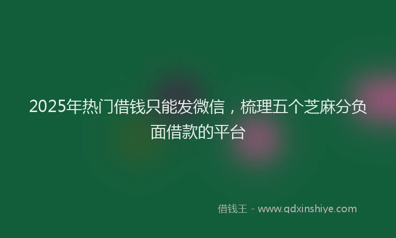 2025年热门借钱只能发微信，梳理五个芝麻分负面借款的平台
