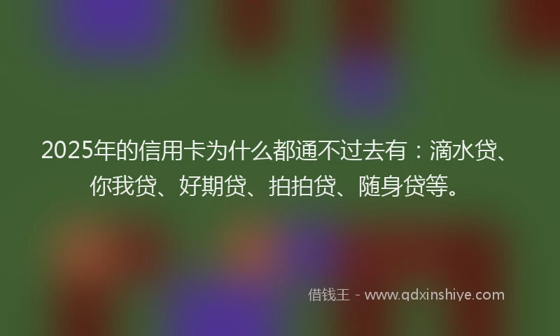2025年的信用卡为什么都通不过去有：滴水贷、你我贷、好期贷、拍拍贷、随身贷等。