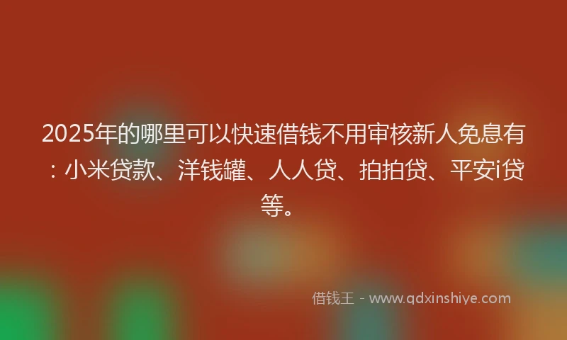2025年的哪里可以快速借钱不用审核新人免息有：小米贷款、洋钱罐、人人贷、拍拍贷、平安i贷等。