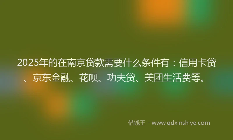2025年的在南京贷款需要什么条件有：信用卡贷、京东金融、花呗、功夫贷、美团生活费等。