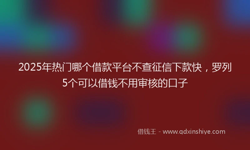 2025年热门哪个借款平台不查征信下款快，罗列5个可以借钱不用审核的口子