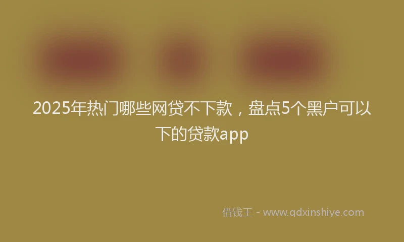 2025年热门哪些网贷不下款，盘点5个黑户可以下的贷款app