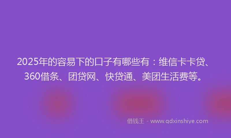 2025年的容易下的口子有哪些有：维信卡卡贷、360借条、团贷网、快贷通、美团生活费等。