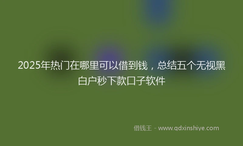 2025年热门在哪里可以借到钱，总结五个无视黑白户秒下款口子软件