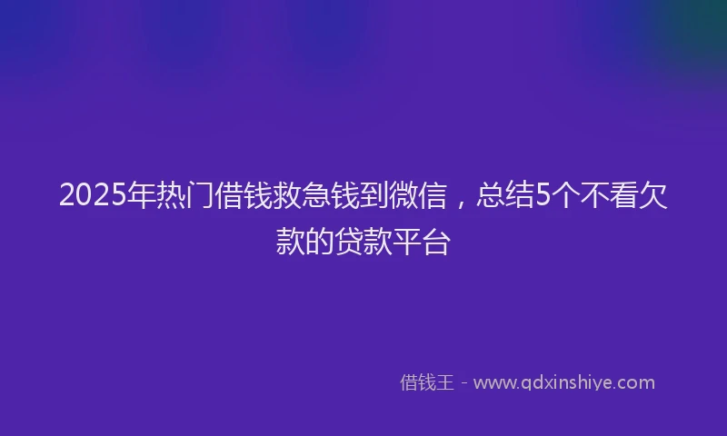 2025年热门借钱救急钱到微信，总结5个不看欠款的贷款平台