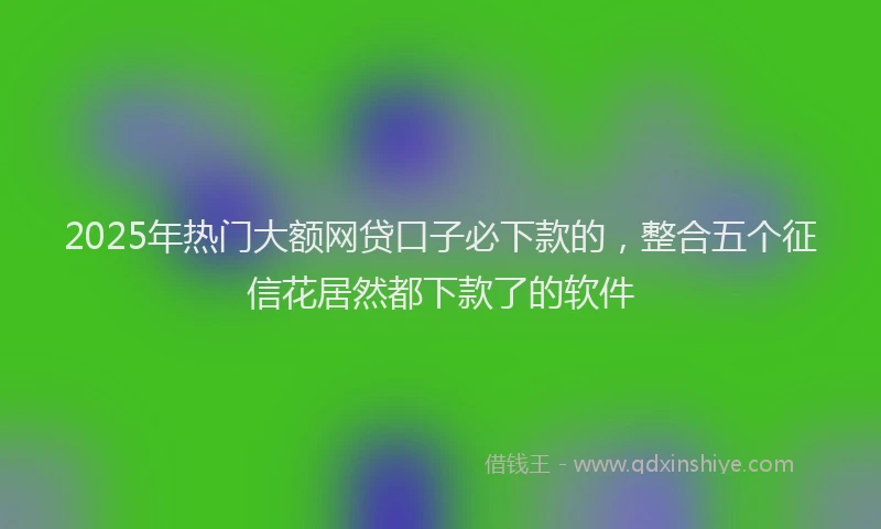 2025年热门大额网贷口子必下款的，整合五个征信花居然都下款了的软件