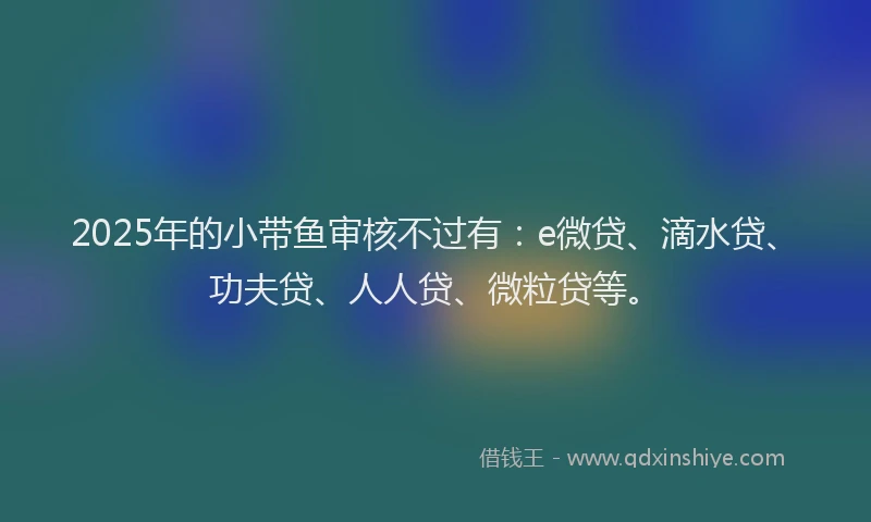 2025年的小带鱼审核不过有：e微贷、滴水贷、功夫贷、人人贷、微粒贷等。