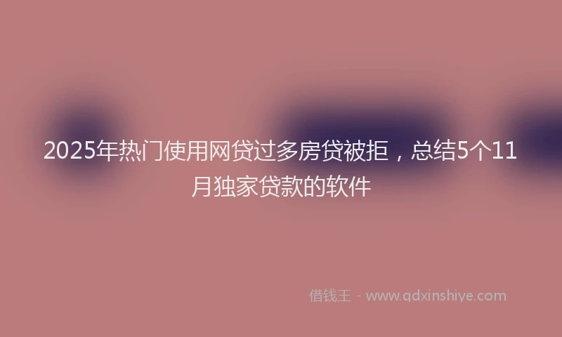 2025年热门使用网贷过多房贷被拒，总结5个11月独家贷款的软件