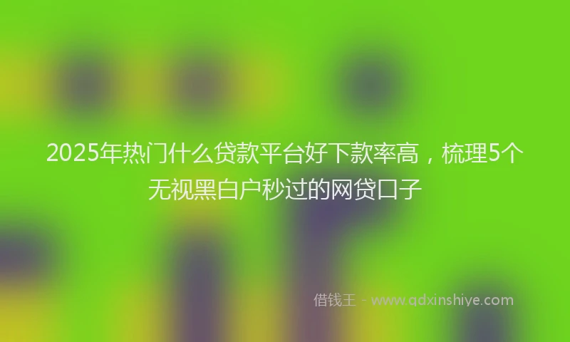 2025年热门什么贷款平台好下款率高，梳理5个无视黑白户秒过的网贷口子
