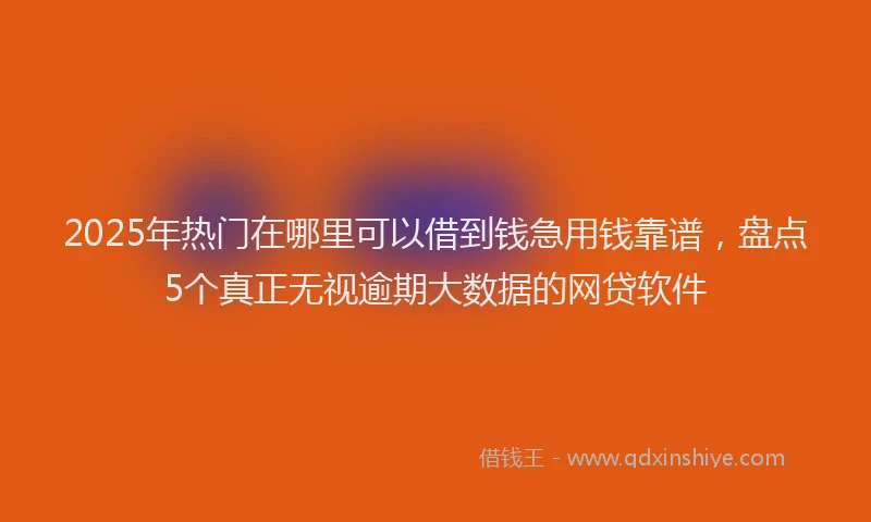 2025年热门在哪里可以借到钱急用钱靠谱，盘点5个真正无视逾期大数据的网贷软件