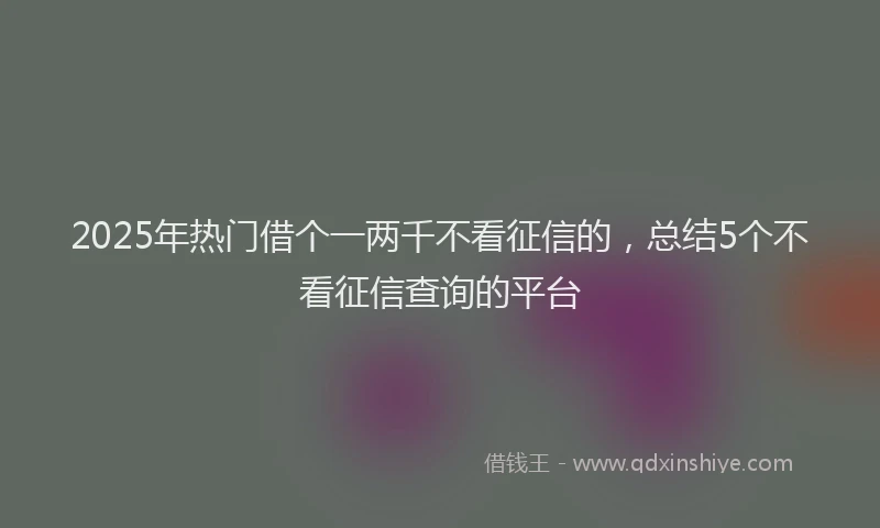 2025年热门借个一两千不看征信的，总结5个不看征信查询的平台