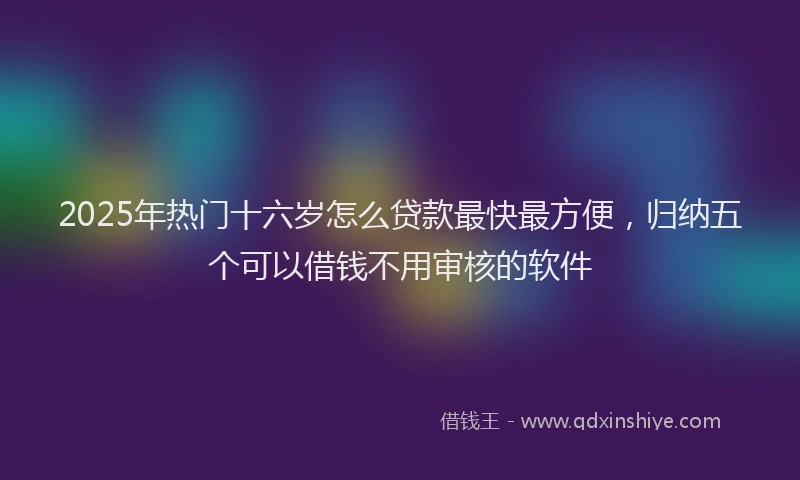 2025年热门十六岁怎么贷款最快最方便，归纳五个可以借钱不用审核的软件