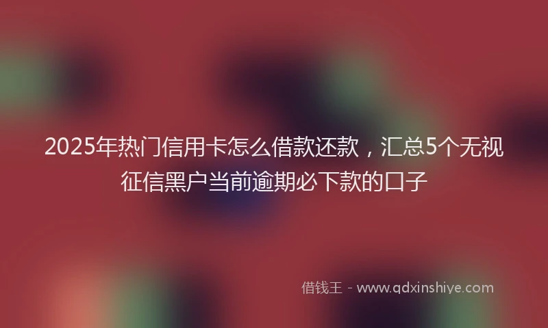 2025年热门信用卡怎么借款还款，汇总5个无视征信黑户当前逾期必下款的口子