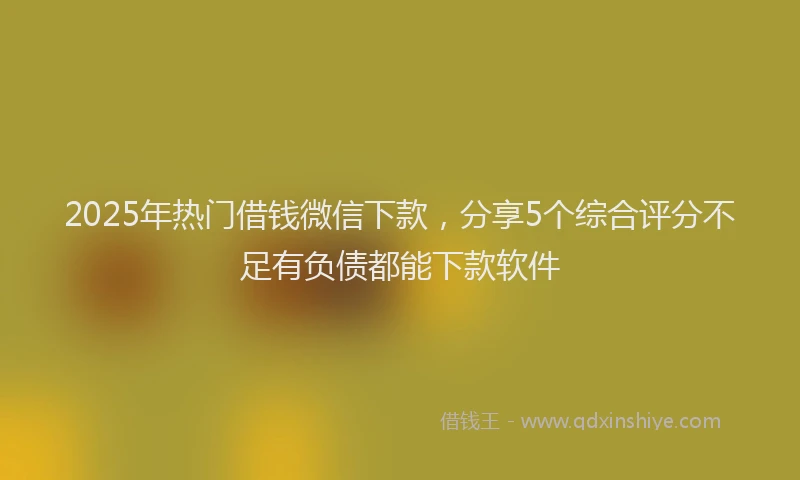 2025年热门借钱微信下款，分享5个综合评分不足有负债都能下款软件