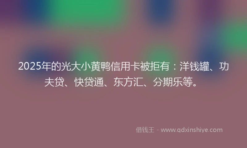 2025年的光大小黄鸭信用卡被拒有:洋钱罐、功夫贷、快贷通、东方汇、分期乐等。