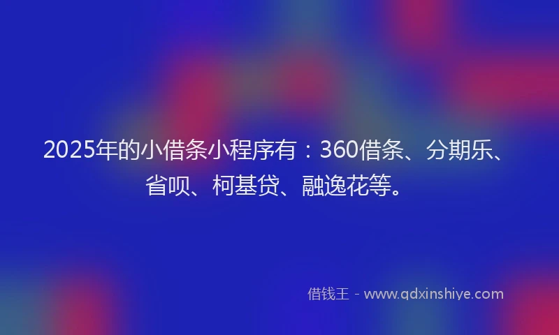2025年的小借条小程序有：360借条、分期乐、省呗、柯基贷、融逸花等。