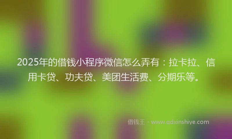 2025年的借钱小程序微信怎么弄有：拉卡拉、信用卡贷、功夫贷、美团生活费、分期乐等。