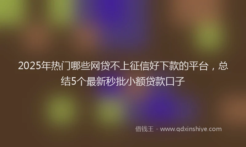 2025年热门哪些网贷不上征信好下款的平台，总结5个最新秒批小额贷款口子