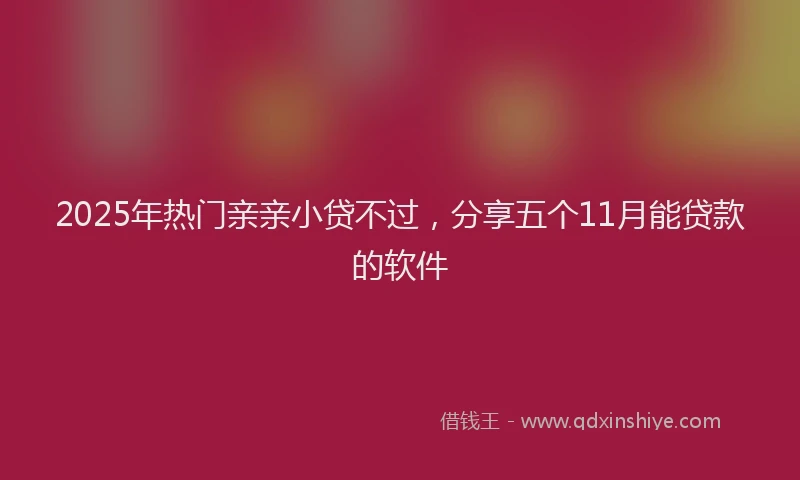 2025年热门亲亲小贷不过，分享五个11月能贷款的软件