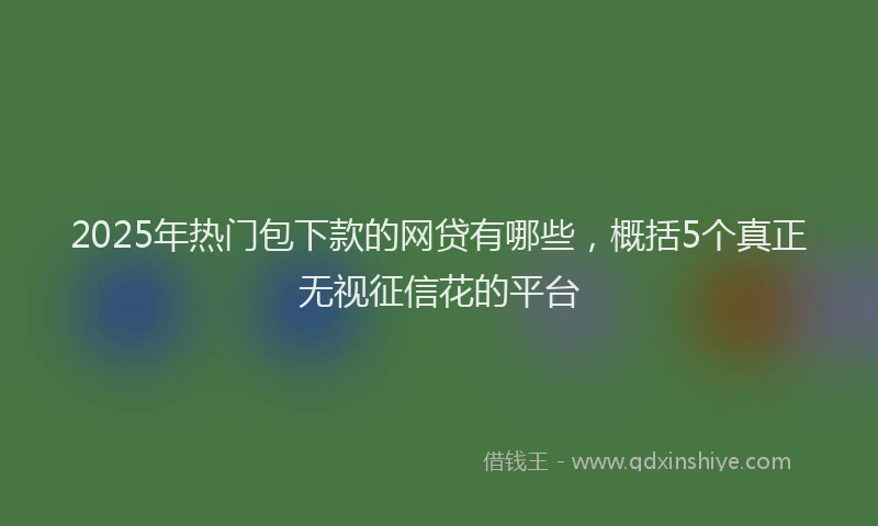 2025年热门包下款的网贷有哪些，概括5个真正无视征信花的平台