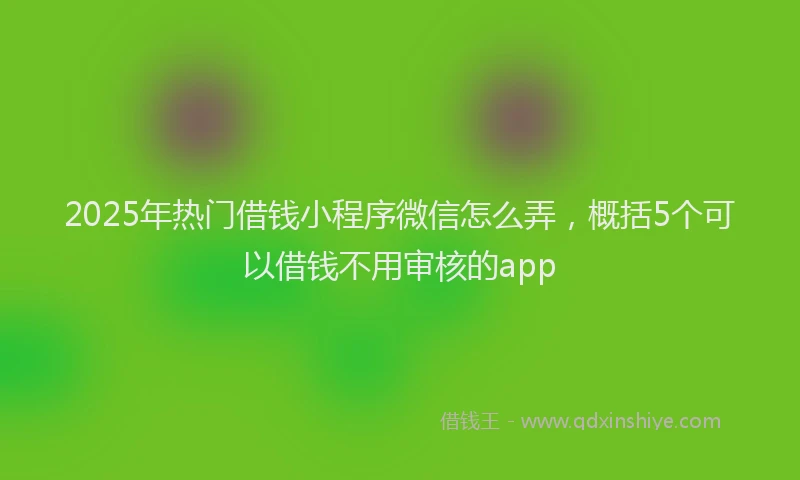 2025年热门借钱小程序微信怎么弄，概括5个可以借钱不用审核的app